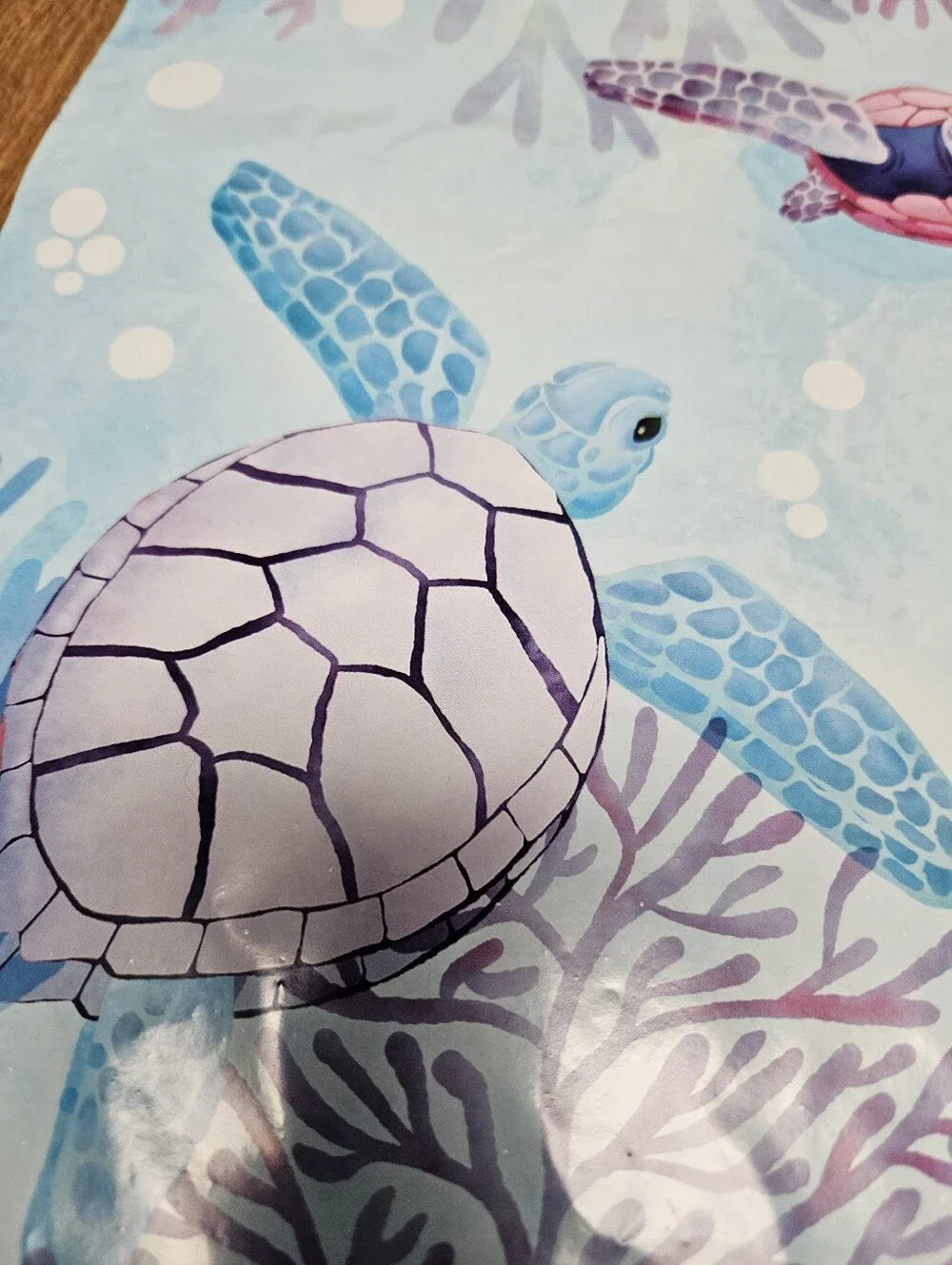 Turtle Polymailer Packages